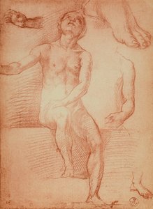 Studie nahé postavy a lidských končetin, kresba Andrea del Sarto. Kabinet kreseb a tisků, Galerie Uffizi, Florencie